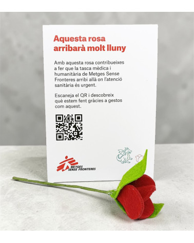 Pack 50 rosas Sant Jordi